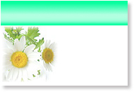 menu8
